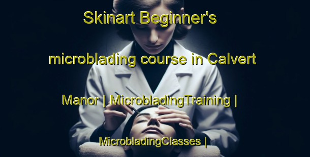 Skinart Beginner's microblading course in Calvert Manor | MicrobladingTraining | MicrobladingClasses | SkinartTraining-United States